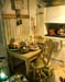 20_Leea_Lehelma